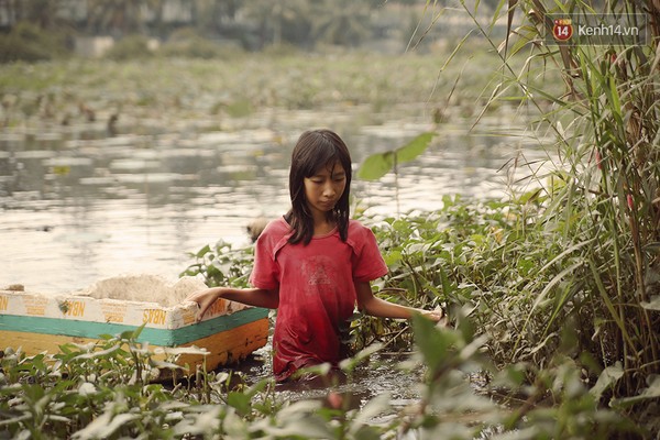 
Khi tìm đủ những cành sen để có thể bán thành từng bó, Thanh mới chịu lội vào bờ.
