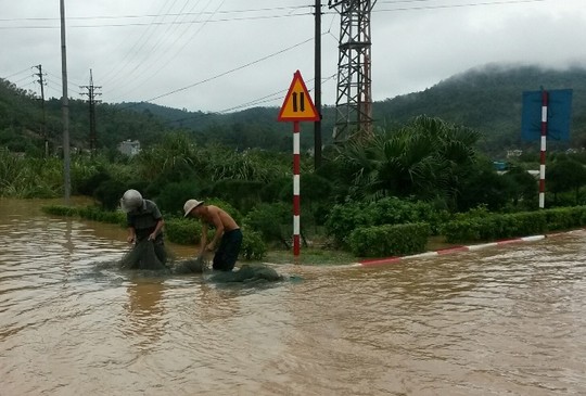 Mưa ngập, người dân đánh cá trên đường