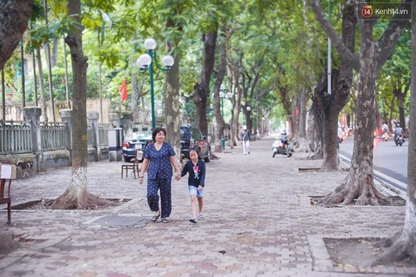 Nếu phải tìm một cái tên cho đường Phan Đình Phùng, chắc tôi sẽ gọi đó là Con đường đẹp nhất Hà Nội.