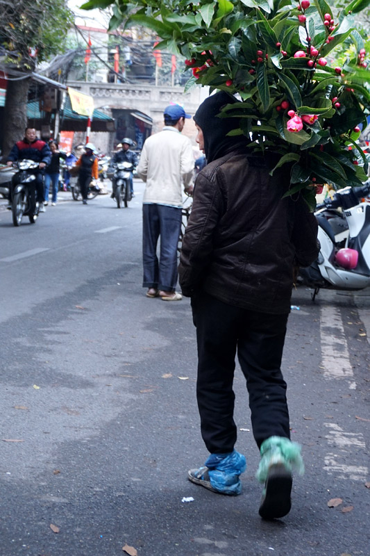 Rét, chống chọi, mưu sinh