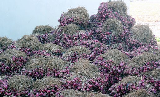 cơm tấm, Sài Gòn, hóa chất, trứng vịt, Hải Phòng, hành tím, hành tây, Trung Quốc, quần áo, trẻ em, ngộ độc, thanh long, thương lái, trứng kiến, giá xăng, giá sữa, cơm-tấm, Sài-Gòn, hóa-chất, trứng-vịt, Hải-Phòng, hành-tím, hành-tây, Trung-Quốc, quần-áo, t