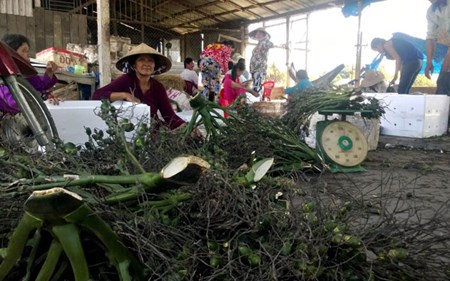 dưa hấu, Hàn Quốc, hàng Nhật, hàng Thái, sính ngoại, mỡ bẩn, mỹ phẩm, vé máy bay, giá xăng, tỷ giá, nhà giàu, thương lái, Trung Quốc, dưa-hấu, Hàn-Quốc, hàng-Nhật, hàng-Thái, sính-ngoại, mỡ-bẩn, mỹ-phẩm, vé-máy-bay, giá-xăng, tỷ-giá, nhà-giàu, thương-lái,