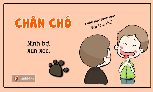 Ghét mấy đứa chân chó thế...