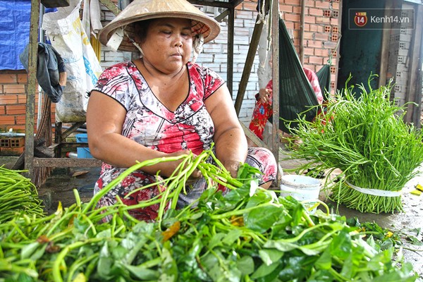 Chị Lý Thị Sà Quếch.