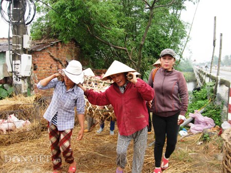 Muu sinh bang nghe... be “Thien Bong nguyen soai”