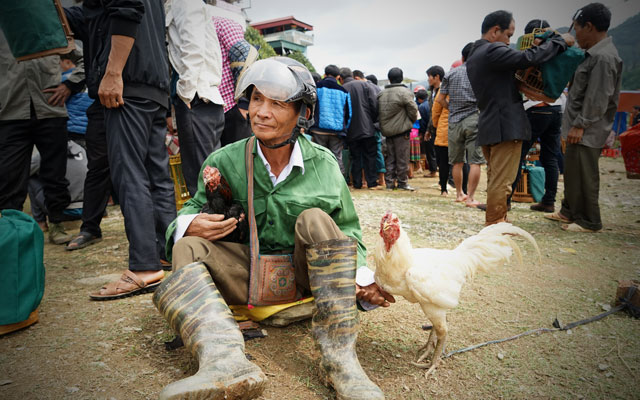 Canh may rau di cho choi chim