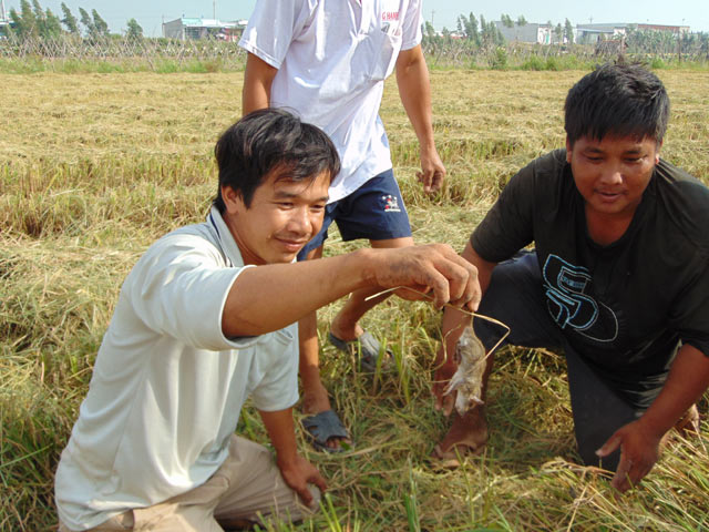 
Một thanh niên trong nhóm thích thú khi bắt được chú chuột con
