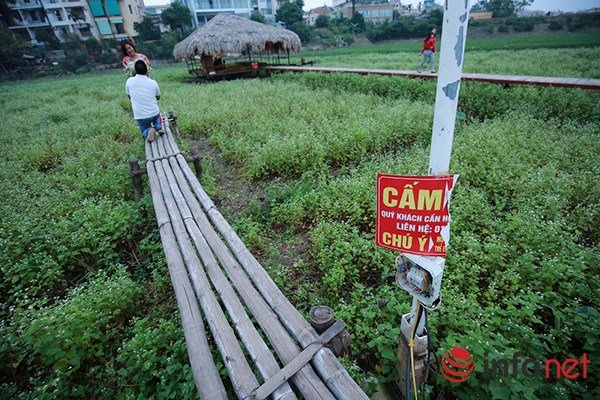 Ngay cả biển cấm của vườn cũng bị khách bẻ gãy.