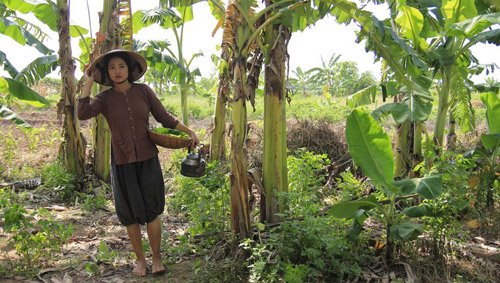 Nếu như ngoại hình của Thúy Hằng trong Cuộc đời của Yến vẫn còn khiến cho khán giả có chút băn khoăn thì diễn xuất của cô đã giúp xây dựng lên hình tượng người phụ nữ Việt Nam chuẩn mực thời xưa.