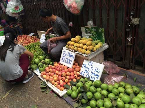 dưa hấu, xoài, ổi, thanh long, nông dân, giá rẻ, vài ngàn đồng, vỉa hè, chợ, Hà Nội, dứa, hàng rong, Nguyễn Xiển, dưa hấu miền Trung, ủng hộ, nông-sản, dưa-hấu, xoài, ổi, thanh-long, nông-dân, giá-rẻ, vài-ngàn đồng, vỉa-hè, chợ, Hà-Nội, dứa, hàng-rong, Ng