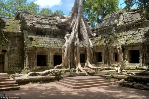 
Những thân cây kỳ quái, cùng kiến trúc cổ Khmer, tạo nên sức hút cực lớn cho đền Ta Prohm
