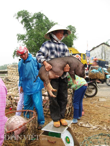 Muu sinh bang nghe... be “Thien Bong nguyen soai”