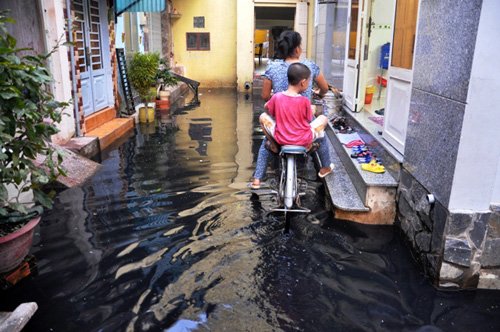 Một phụ nữ chở bao gạo vừa mua được nhưng không may bị rớt xuống dòng nước đen ngòm.