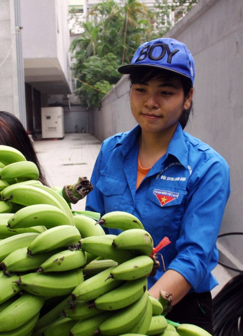 Lê cho biết, trong buổi sáng ngày 18.11, cô đã vận chuyển được hơn 40 buồng chuối từ kho ra xe cho khách hàng