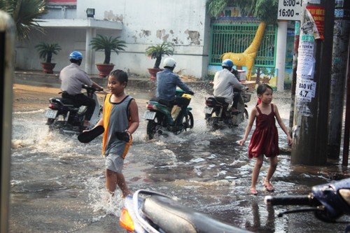 mưa lớn, đường phố Sài Gòn, ngập lênh láng, nước thối