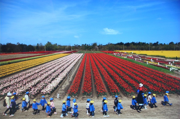 
Công viên hoa tulip với gần 1 triệu bông Tulip ở tỉnh Niigata.
