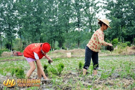 Hiem thay: Nu tiep vien hang khong mac vay cay lua