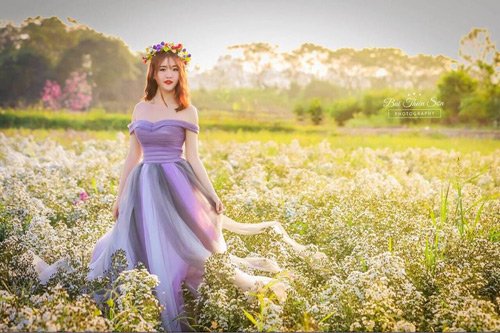 Cô muốn thực hiện một bộ ảnh theo phong cách nhẹ nhàng giữa đồng hoa lưu ly đẹp nhất Hà Nội