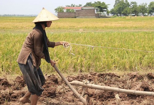 Cô làm hết mọi việc cả cả đàn ông lẫn phụ nữ: sinh con, nuôi con, chăm chồng, cấy hái, cày bừa…