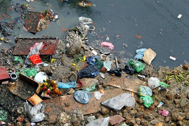 Cũng không thể gặp Táo quân được vì chết vì nước sông ô nhiễm hoặc nằm vắt vẻo trên đống rác