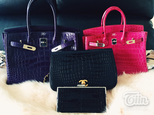 BST túi da cá sấu dưới đây có các thương hiệu Hermes, Chanel, Judith Leiber, nhưng đắt nhất là chiếc túi Hermes birkin màu hồng trị giá khoảng 1,5 tỷ.