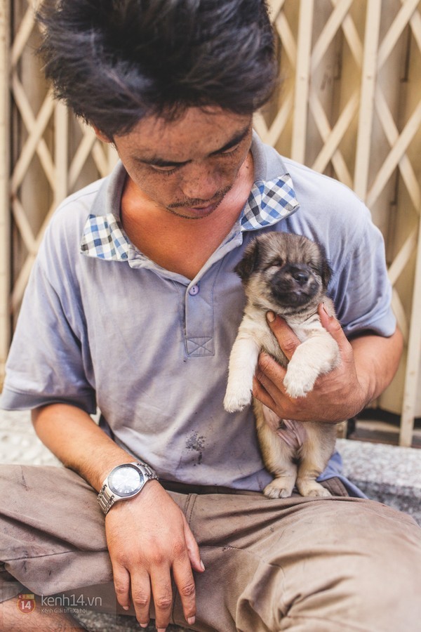 Câu chuyện Chú chó mù và anh đánh giày gây bão thời gian trước. 