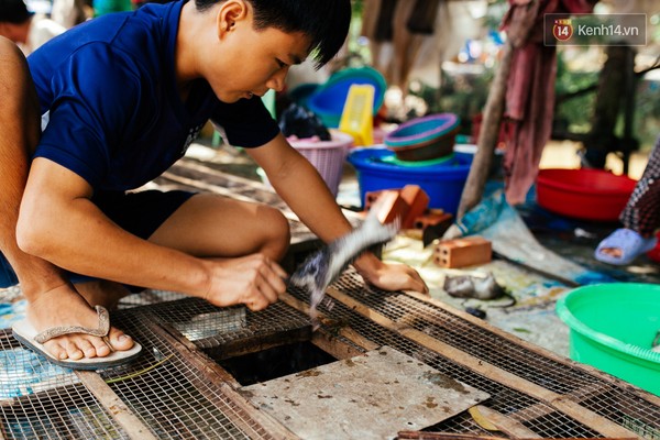 
Nếu có người mua tận chợ thì người bán trực tiếp đập chuột để làm thịt.
