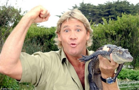 
Nhà bảo tồn động vật hoang dã Steve Irwin đã thiệt mạng vì cá đuối gai độc sau khi bị một con cá đuối gai độc tấn công trong lúc quay phim tài liệu.
