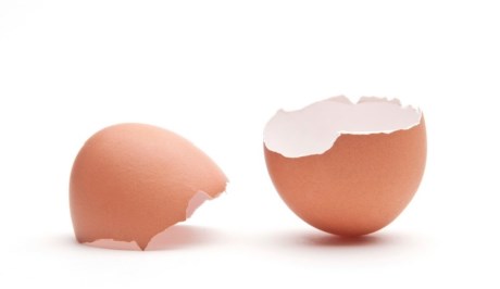 
Vỏ trứng: Vỏ trứng chủ yếu là canxi cacbonat, thường có màu trắng. Tuy nhiên, một số vỏ trứng có màu sắc tia cực tím mà không thể nhìn thấy bằng mắt người, nhưng có khả năng nhìn thấy bởi các loài chim.
