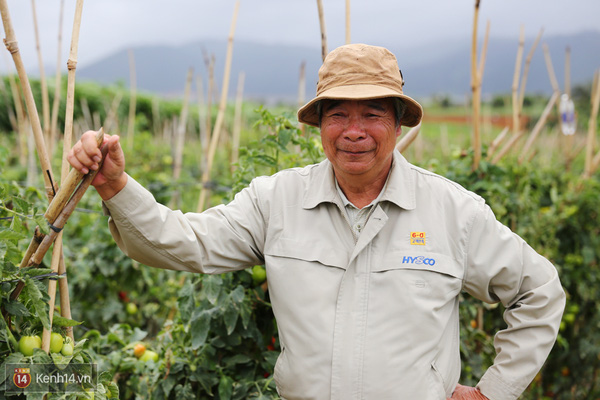 Ông chủ vườn cải dù bị thiệt hại nhưng ông vẫn chào đón khách vì không nỡ nhìn thấy khách ở xa lặn lội đến rồi phải thất vọng ra về.