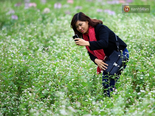  Những bông hoa còn đang chúm chím thu hút mọi lứa tuổi ghé thăm.