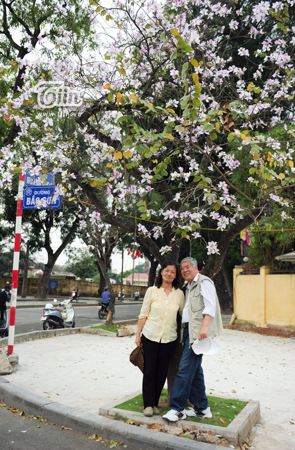 Hà Nội! Đẹp lắm mùa hoa ban!