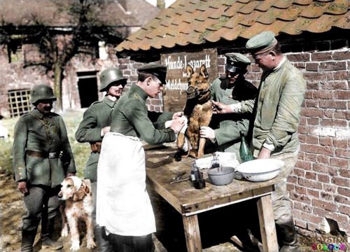 Sự khốc liệt của Thế chiến I qua những bức ảnh màu - ảnh 9