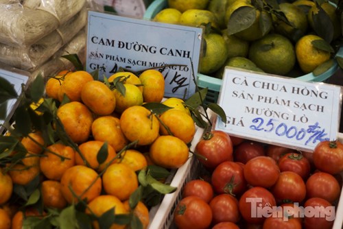 Cam canh, cà chua sạch Mường Lò