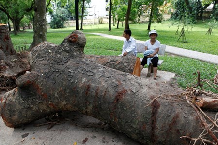 Can canh bai tap ket go “khung” sau dong loc kinh hoang o Ha Noi