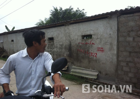 Trước những lời rao mua bán lạ, trưởng thôn Nguyễn Tiến Giang khẳng định làng Bèo sẽ quyết tâm giữ tiếng là nơi cung cấp nguồn thịt lợn chất lượng cho thị trường.