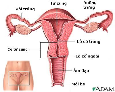 Căn bệnh kinh khủng ám ảnh người phụ nữ