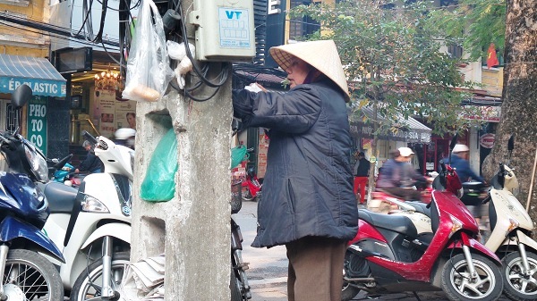 Hốc cây cột điện là nơi bà Tim giấu thức ăn cho đàn chim trời