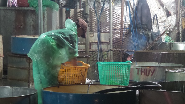 Áo mưa quấn quanh người, đôi tay không đeo găng... đó là hình ảnh dễ nhận thấy khi tới chợ cá Yên Sở