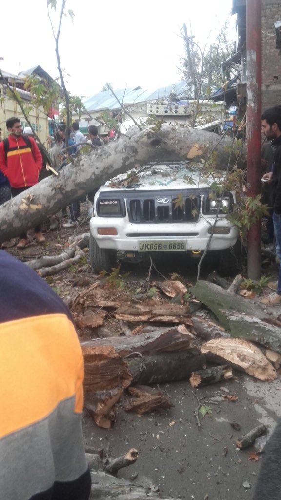 
Cây đổ lên xe ô tô do động đất gây ra ở vùng Kashmir, Ấn Độ. Ảnh: Twitter.
