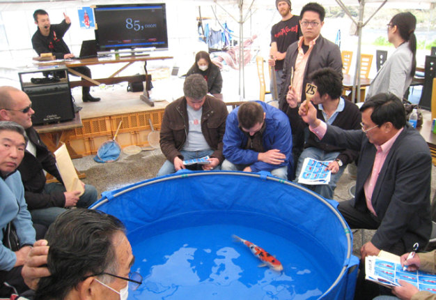 Ông Dũng (cầm bảng số 25) ở phiên đấu giá cá koi tại Nhật Bản - Ảnh: Lê Thanh