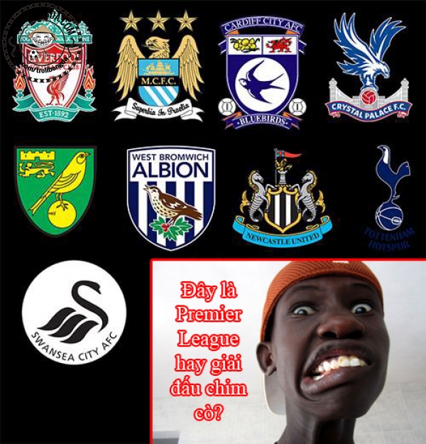 Premier League hơi bị nhiều chim cò