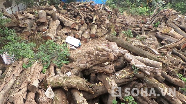 Kho gỗ nằm trên địa bàn phường Cầu Diễn, quận Nam Từ Liêm, Hà Nội.