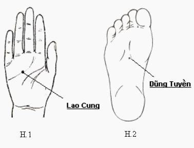 
Huyệt Dũng tuyền (H2)
