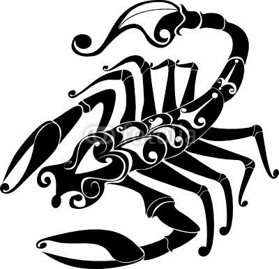 Hãy chiêm ngưỡng vẻ đẹp đặc biệt của con cung bọ cạp, với đuôi dài đầy gai màu cam nổi bật trên nền đen bóng. Bạn sẽ bị mê hoặc trước sự thu hút của loài bọ cạp này trong ảnh.
