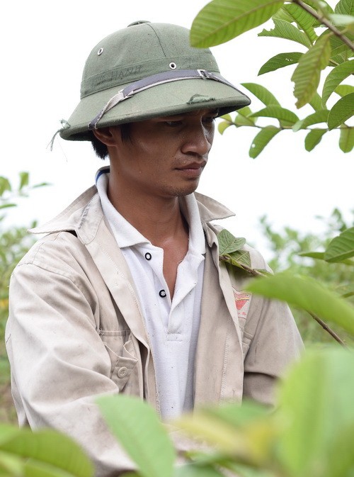 Lệ Rơi tâm sự anh thích cuộc sống yên bình với vườn ổi của mình ngày xưa hơn.