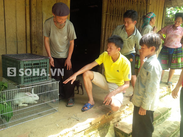 
Thành viên Trịnh Xuân Luyến mang theo 3 chú thỏ cùng lồng nuôi lên tận nhà anh Sổng A Sỉ trao tặng và hướng dẫn cách chăm nuôi
