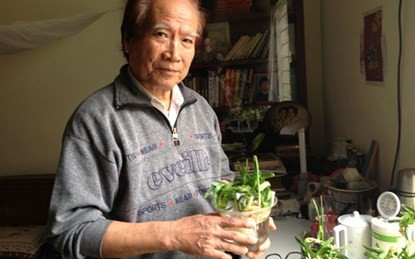 Ông Nguyễn Hữu Ân bên những chậu hoa thủy tiên mới gọt.