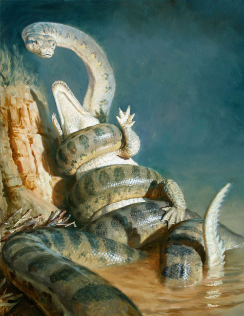 Titanoboa có thể ăn cá sấu khổng lồ một cách dễ dàng