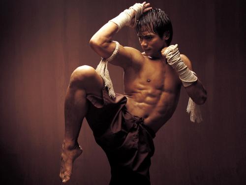 Tony Jaa có niềm đam mê đặc biệt với võ thuật, nhất là Muay Thái.